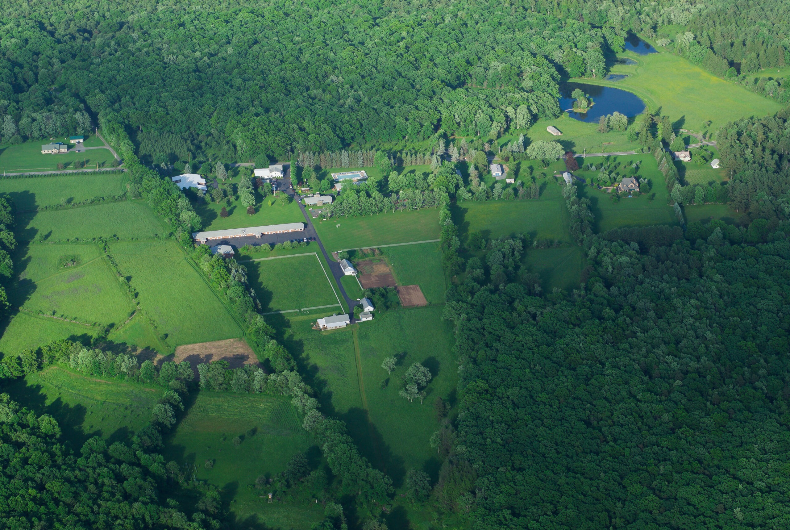 Aerial view of a lush green landscape featuring various fields, residential buildings, and a serene pond, surrounded by dense forest.