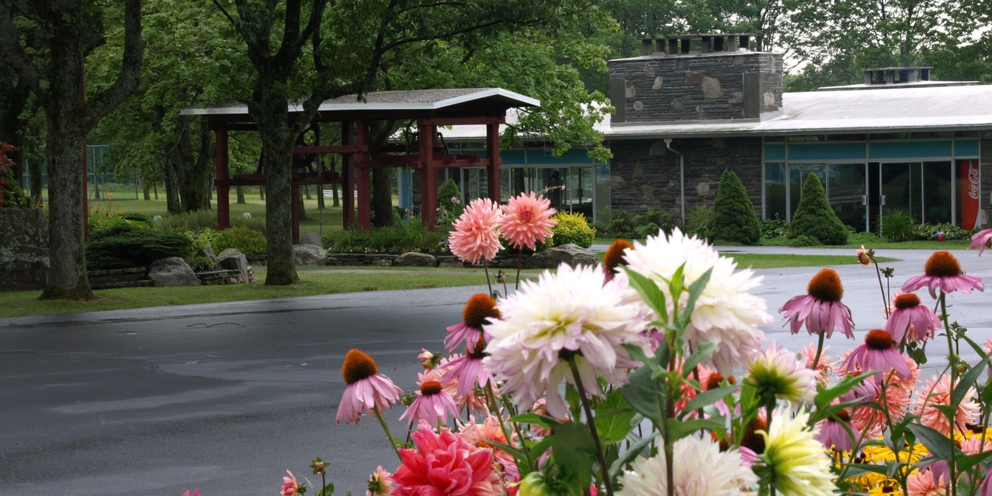Vibrant flower beds in the foreground contrast with a modern building and lush greenery in the background, showcasing a serene outdoor environment.