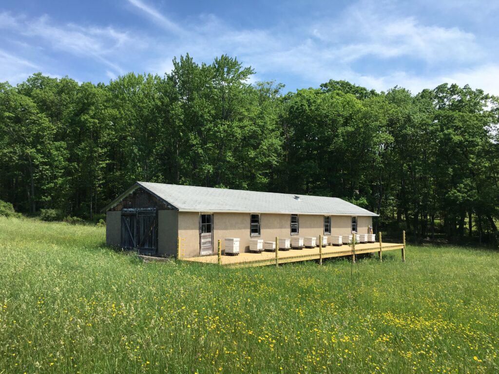 A long, rectangular beige shed with a gray roof sits on wooden stilts in a lush, green meadow. Trees line the background under a blue sky.
