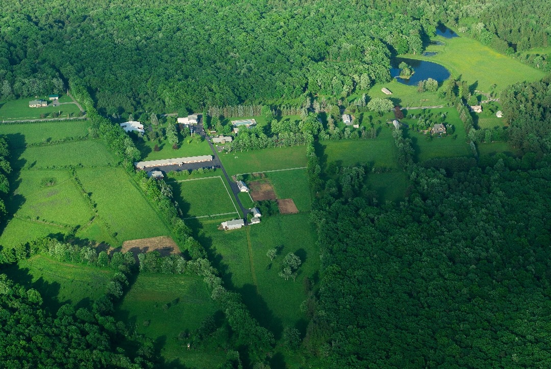 arial-map